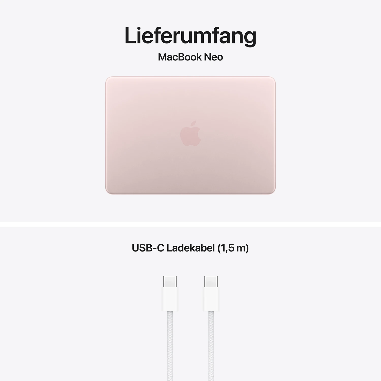 Macbook Neo 13'' A18 6-Core CPU  5-Core GPU - 8 GB - 256 GB SSD - Rosa - 2026 - Kein Netzteil 