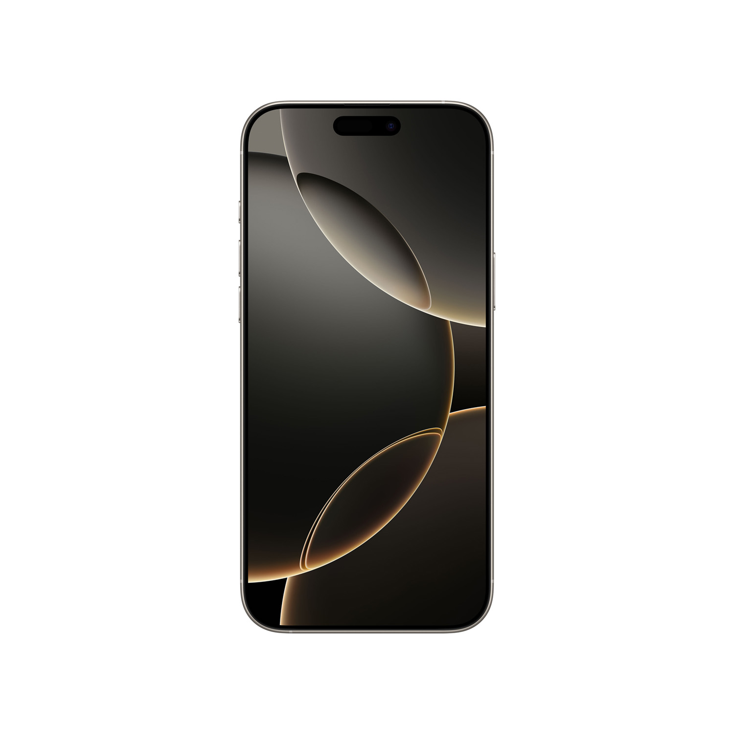 iPhone 16 Pro Max 256GB Natural Titanium Iphone 16 pro max natural titanium ansicht 1b (1)