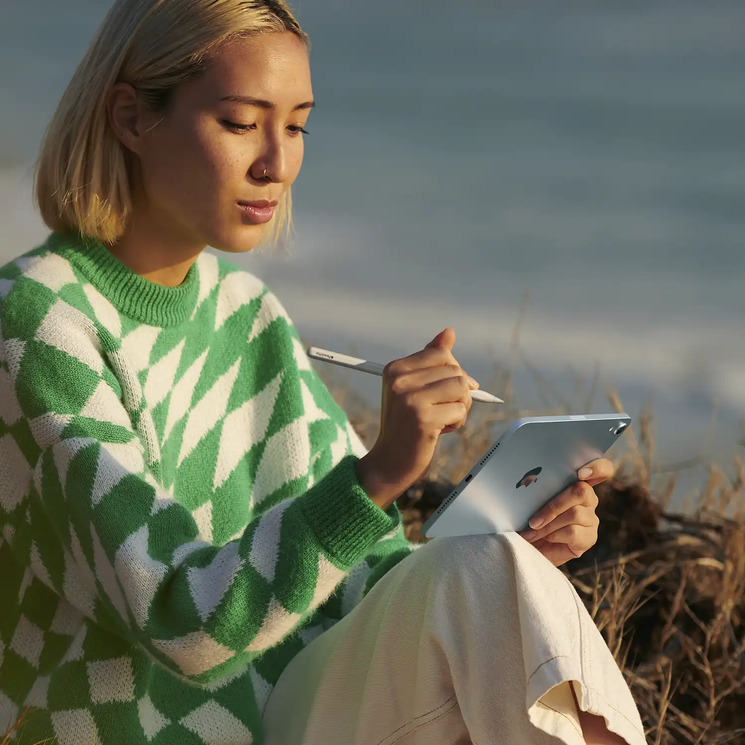 Ipad mini space grau ansicht 8 wifi (1)