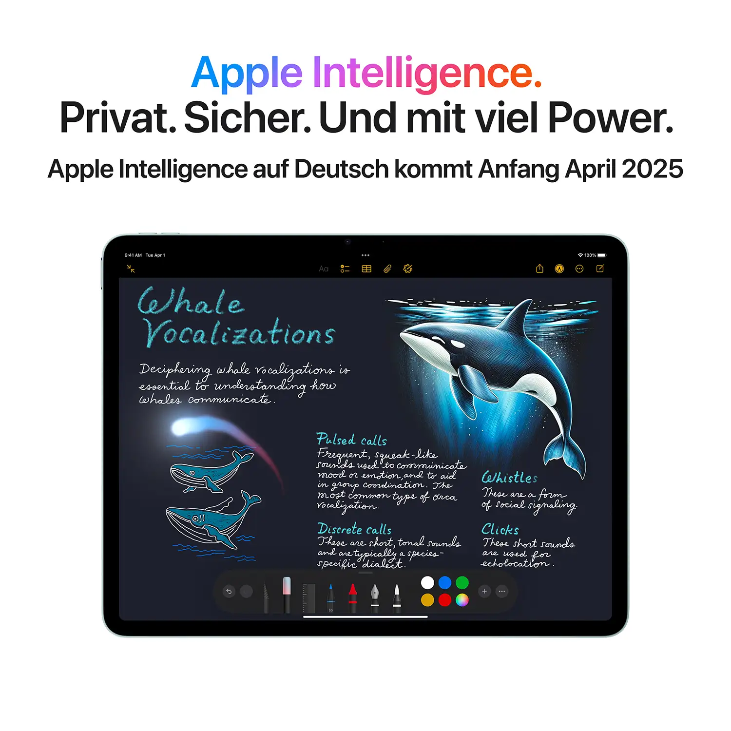 Ipad air 13 inch m3 wifi space grau ansicht 5